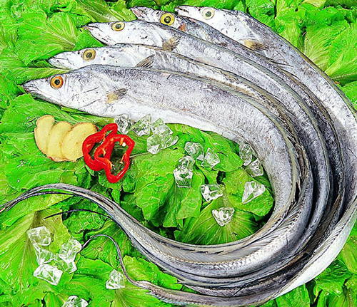 帶魚